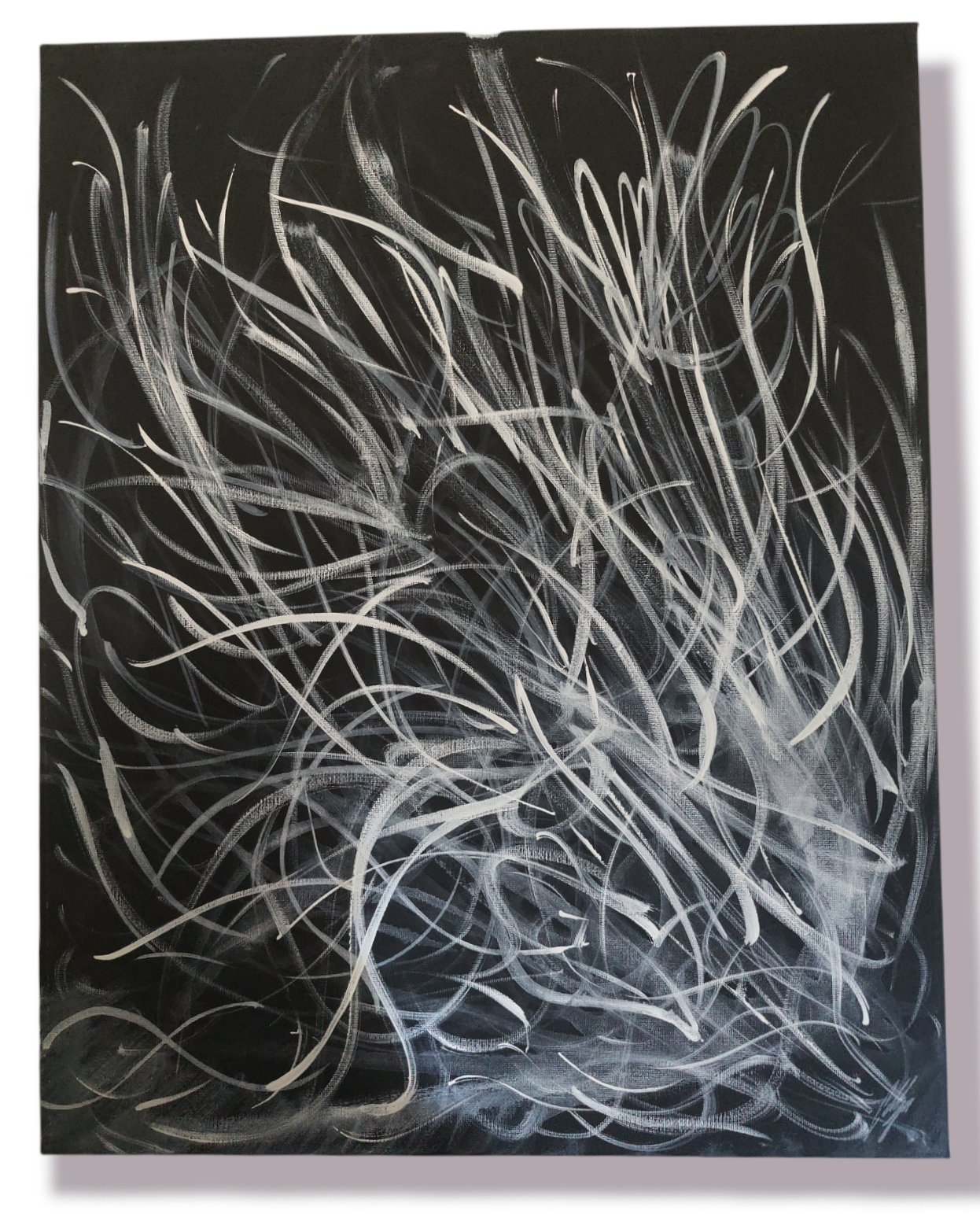 Flushed Flora By Edd (Slightly Damaged)