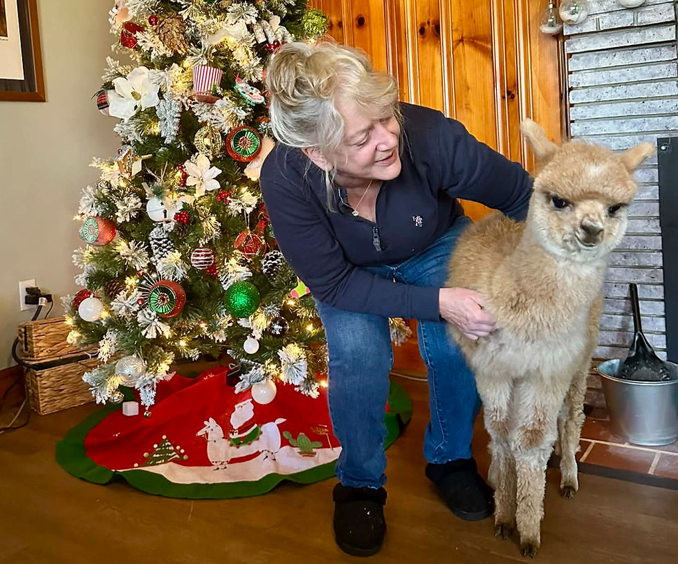 Sandy Cheeks, Second Chances,- and the Truth About “Rescue”