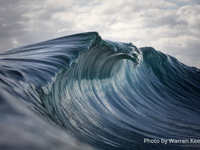 The Golden Year—or the Crest of the Wave?