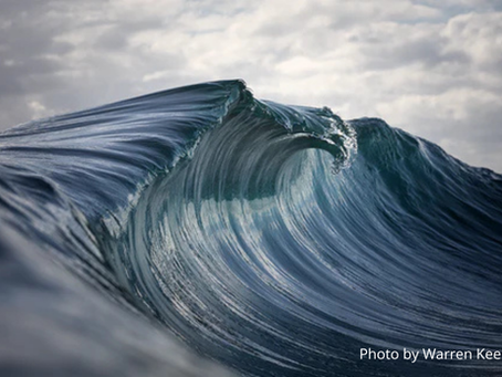 The Golden Year—or the Crest of the Wave?