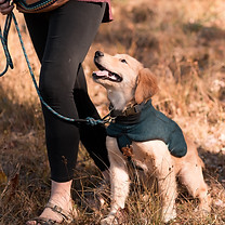 20140122-DSC_8141.jpg