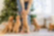 5N1A8928.jpg