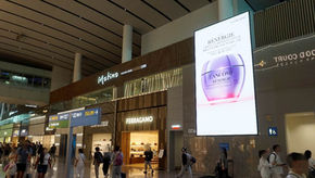 T2 Duty Free Network