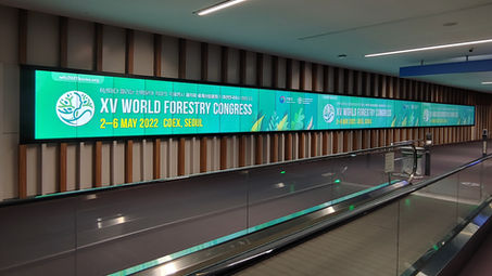 World Forestry Congress