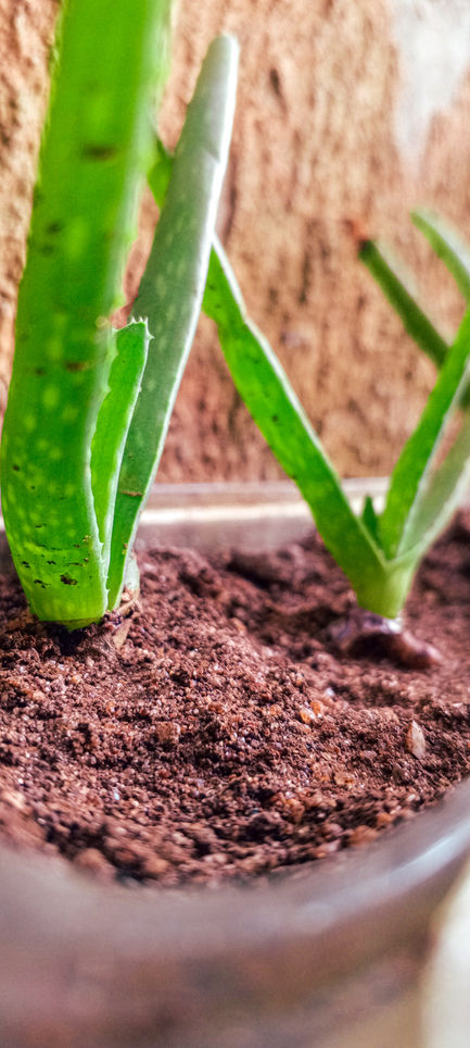 IMG_20240103_182308_135@-1845244866