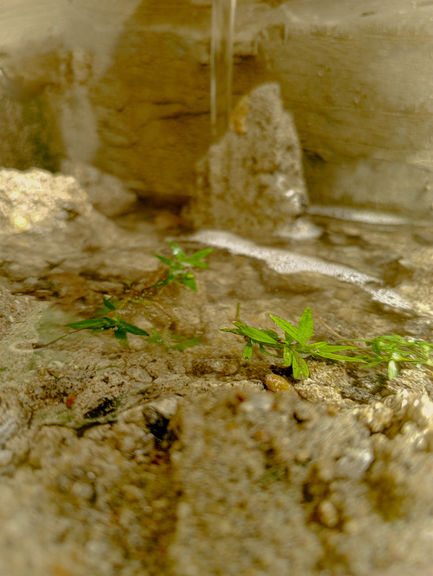 IMG_20240210_144851_006@-1108205513