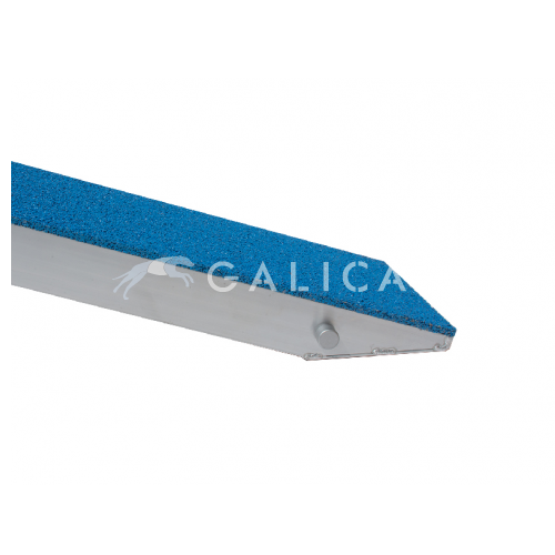 Thumbnail: INTERCAN Soft Seesaw
