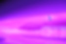 L1000248.JPG