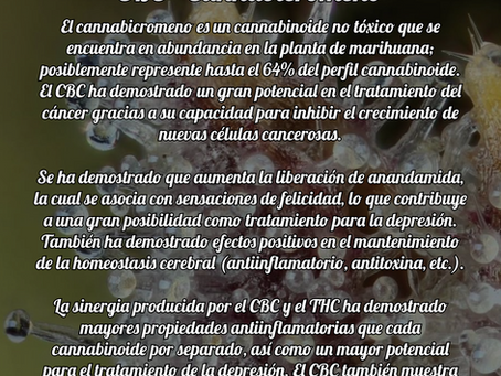 CBC - Cannabicromeno