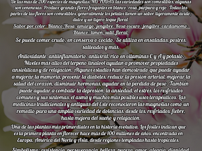 Magnolia Therapeutics y Simbología