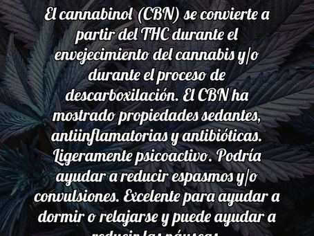 CBN- Cannabinol
