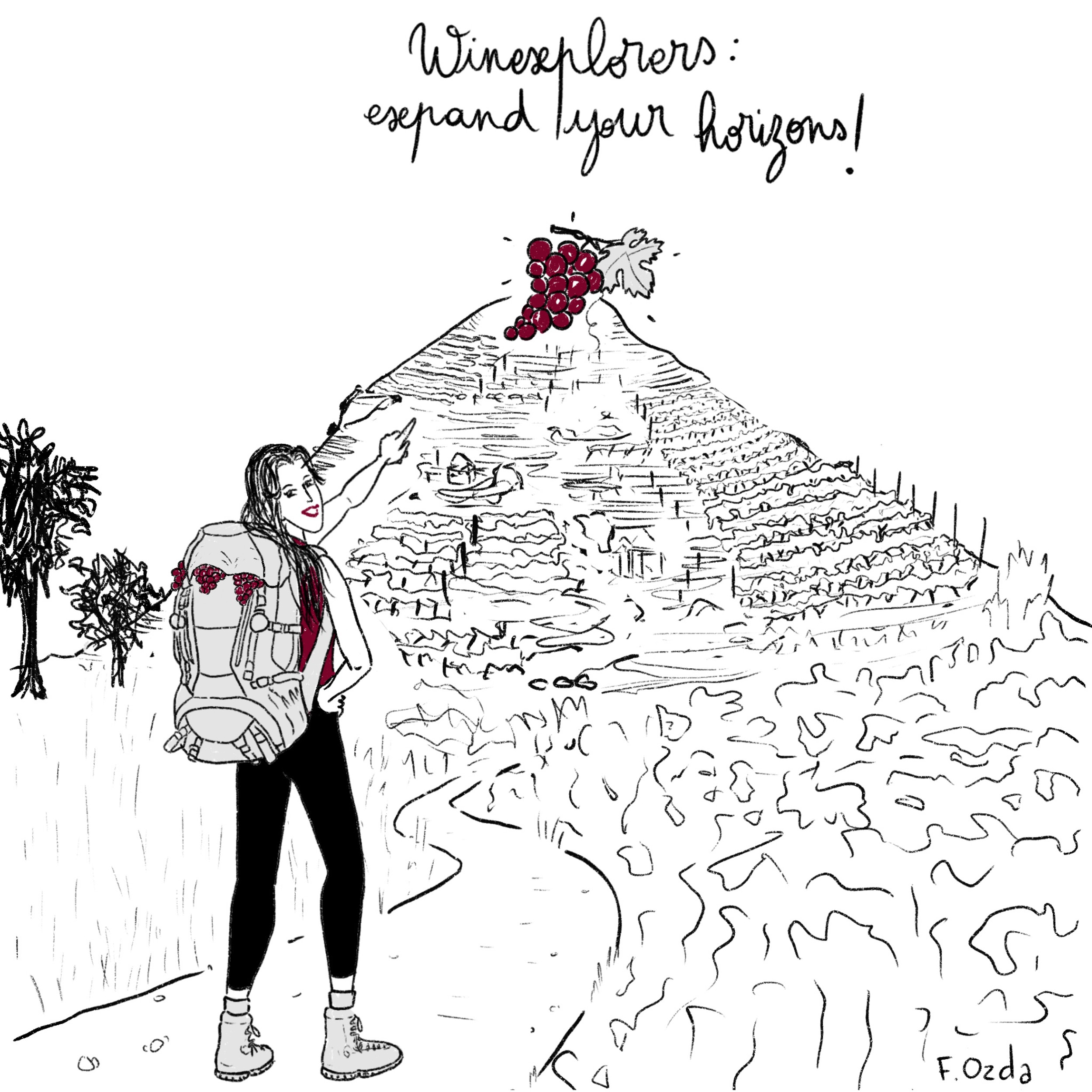 Winexplorers | A Wine Adventure