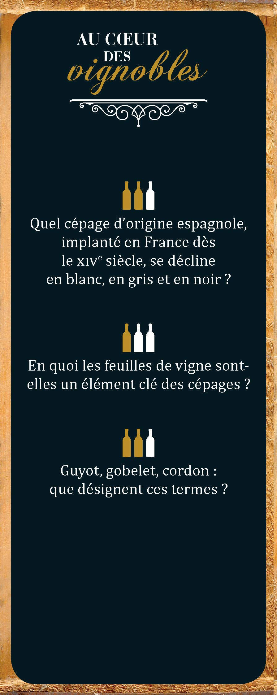Thumbnail: Quizz Larousse du vin (French edition)