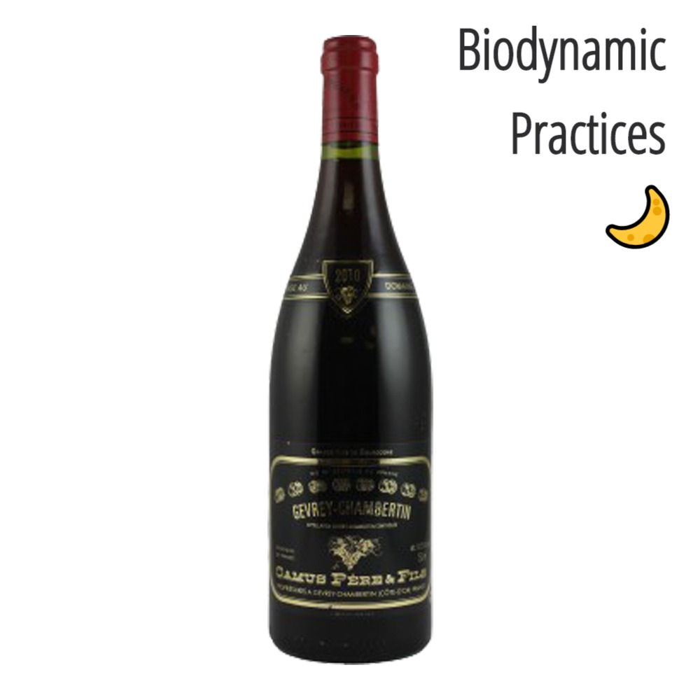 Domaine Camus Gevrey Chambertin 2017