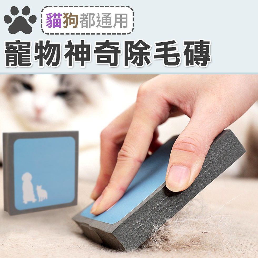 🇹🇼寵物除毛磚