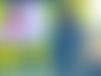 Introducing Precious Holistic Touch Foundation INC: A New Chapter Rooted in Purpose