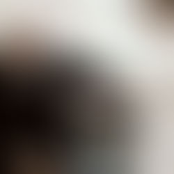 Armani, o arquiteto eterno da elegância moderna