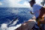 fishing trips mallorca big game