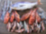 fishing charters in mallorca