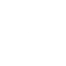 Logo_v1_white.png