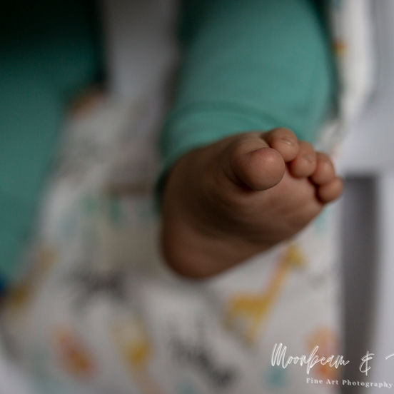 family photographer Belfast