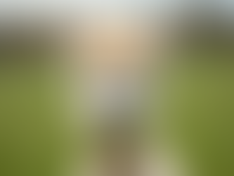 Unforgettable Guided Alpaca Walks: A Delightful Countryside Adventure