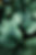 The_Garden_Coach-36.jpg
