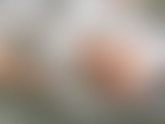 Le Thérapeutique Bain Bébé® de Sonia Krief : une rencontre fondatrice entre le corps, l’émotion et la mémoire de naissance