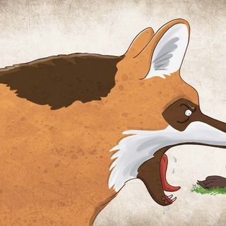 Ilustração de lobo-guará prestes a abocanhar uma galinha de Angola