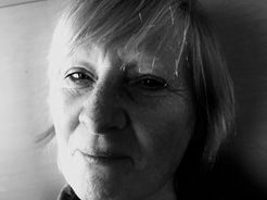 Het paard en de meeuw