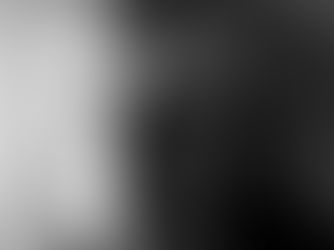 Het paard en de meeuw