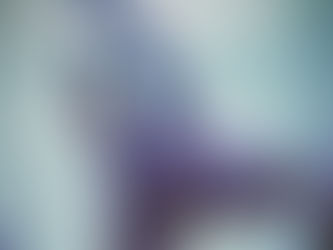 Hippotragus leucophaeus