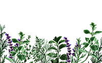 会社案内背景_edited.png