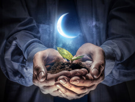 New Moon in Capricorn
