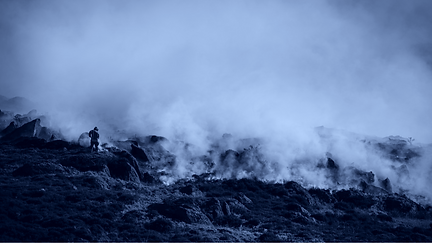 women on the scene overnig_edited_edited.png