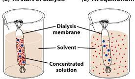 O que é purificação de proteínas?