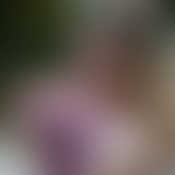 "Forest Nymph"