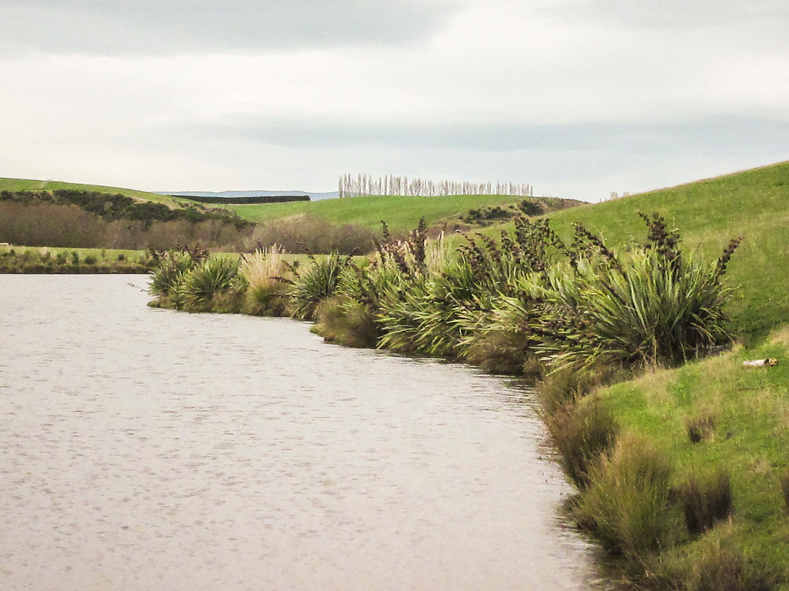 Waikaka Mine Restoration Southland Landscape architecture