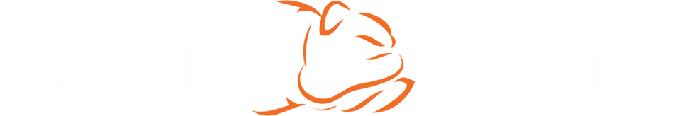 Bad Boy Logo.png