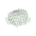 Logo (Image Only).png