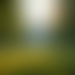 Reflections and Updates from the Paradise Missionary Baptist State Convention Second Quarterly Meeting