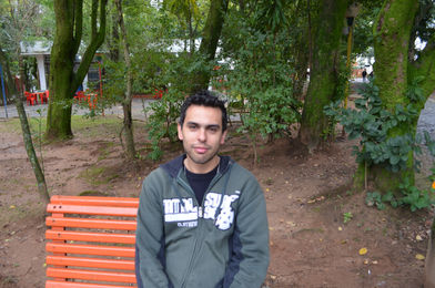 Qual a sua opinião sobre a lei que proíbe a palmada nas crianças?