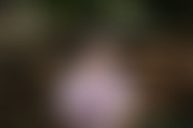 Enquete: Na sua opinião, qual é o motivo das enchentes?