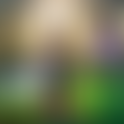 The Outdoors Family: Making Your Backyard Safe and Fun for Your Child with Autism