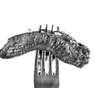 Steak on a Fork_edited.png