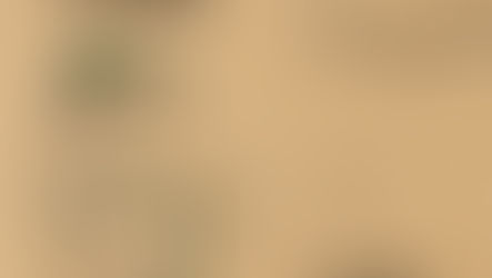 From Thattuvadai to Terns: Meet Angeline Mano M, EEF 2024-25