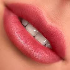 Miniature : MEDISCO REGLORY LIP 1X1.2ml