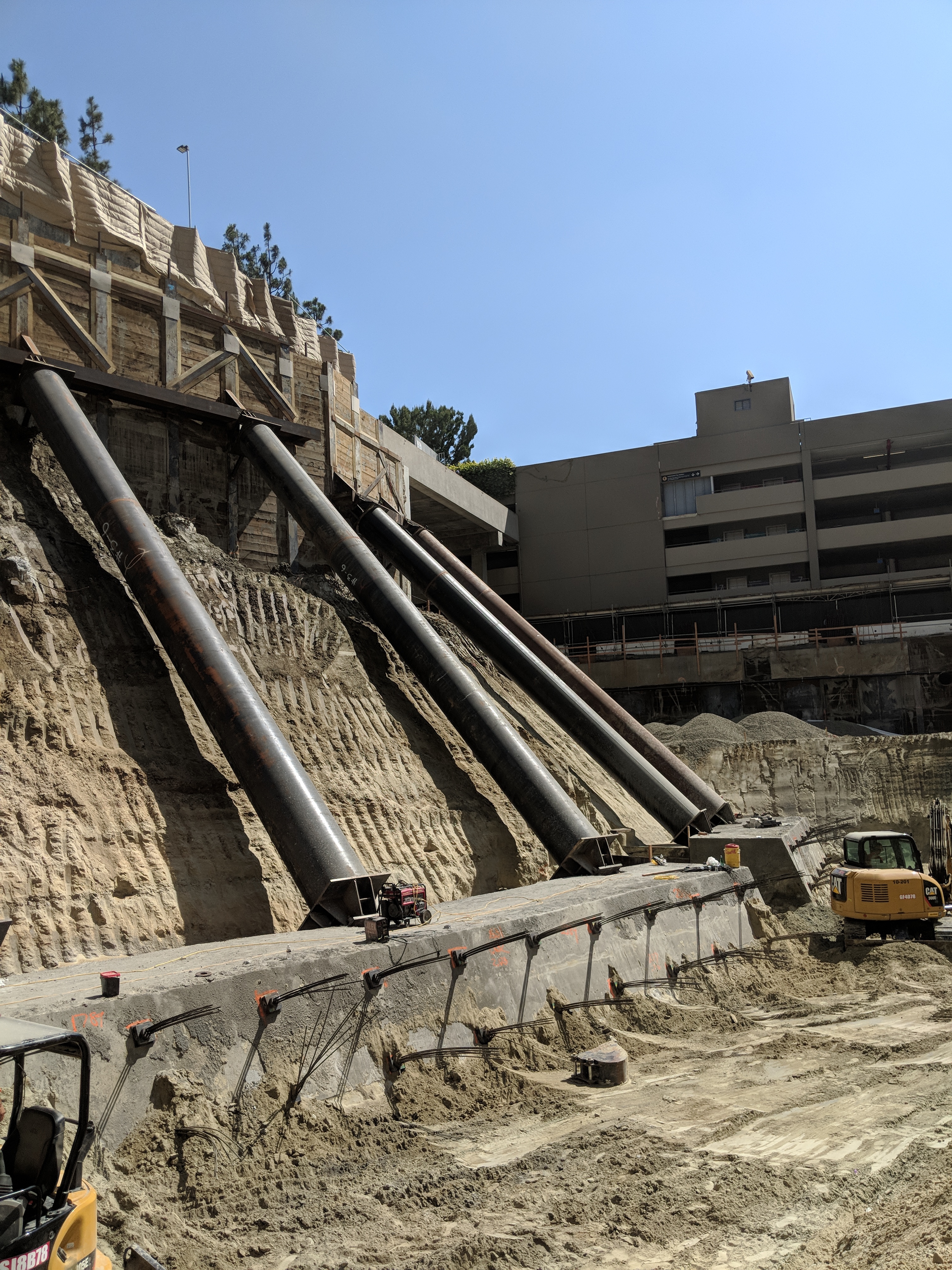 Century Plaza image 3