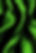 green tent.jpeg