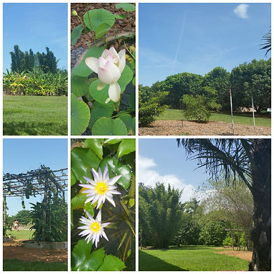 Fruit and Spice Park